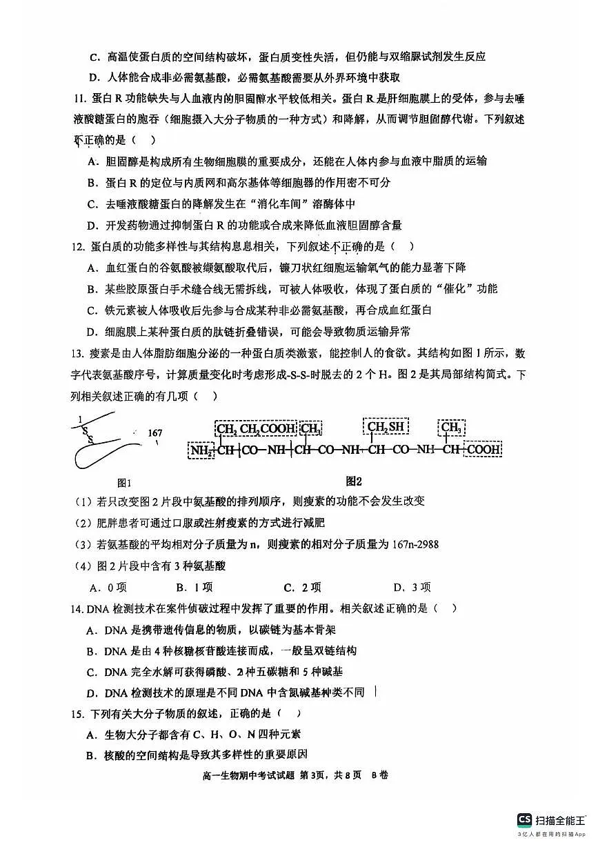 广东省深圳市深圳中学2025—2026学年高一上学期期中考试生物试卷第3页