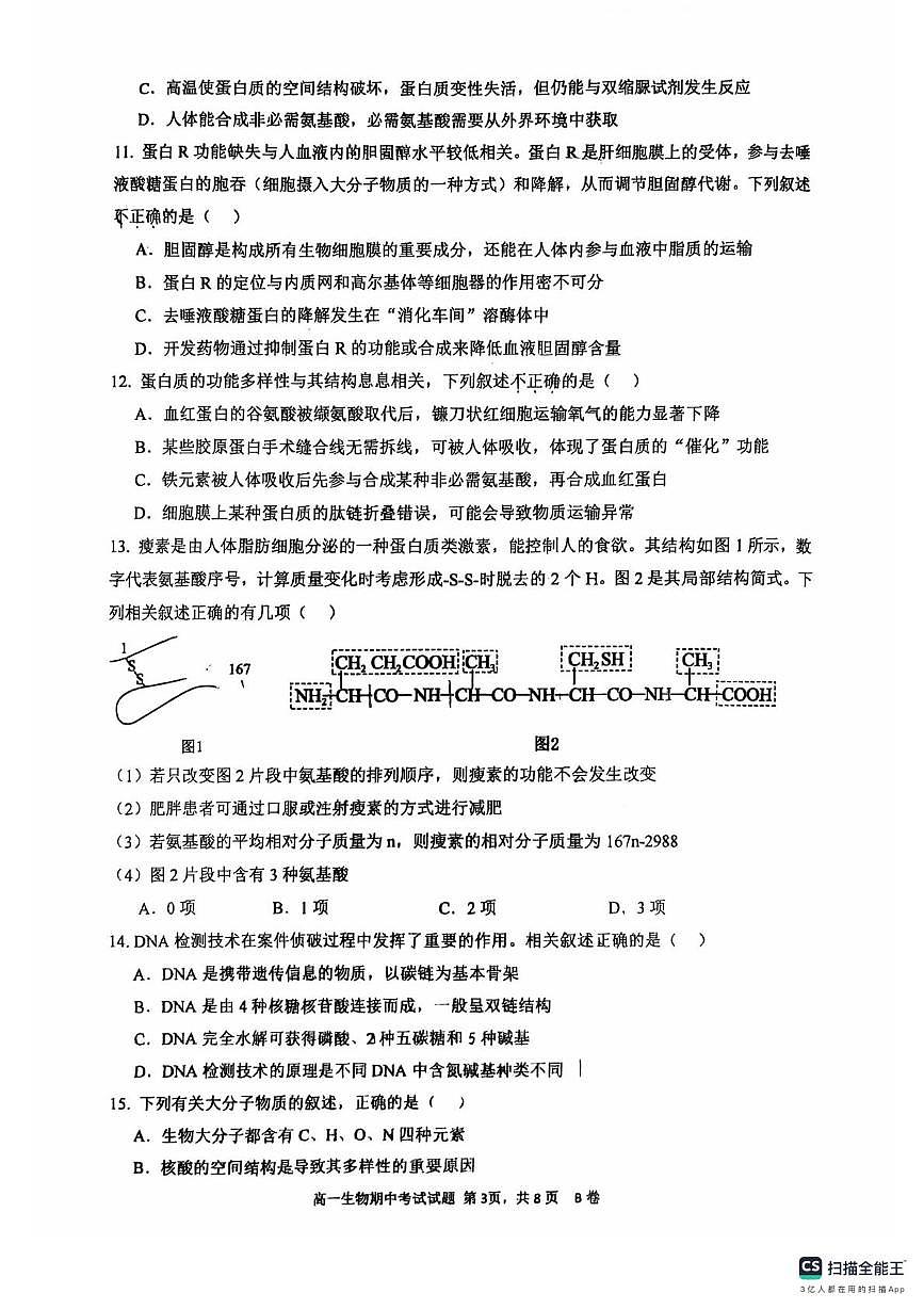 广东省深圳市深圳中学2025—2026学年高一上学期期中考试生物试卷第3页