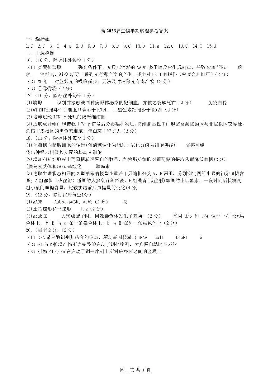 成都市第七中学2025-2026学年高三上学期11月半期考试生物答案第1页