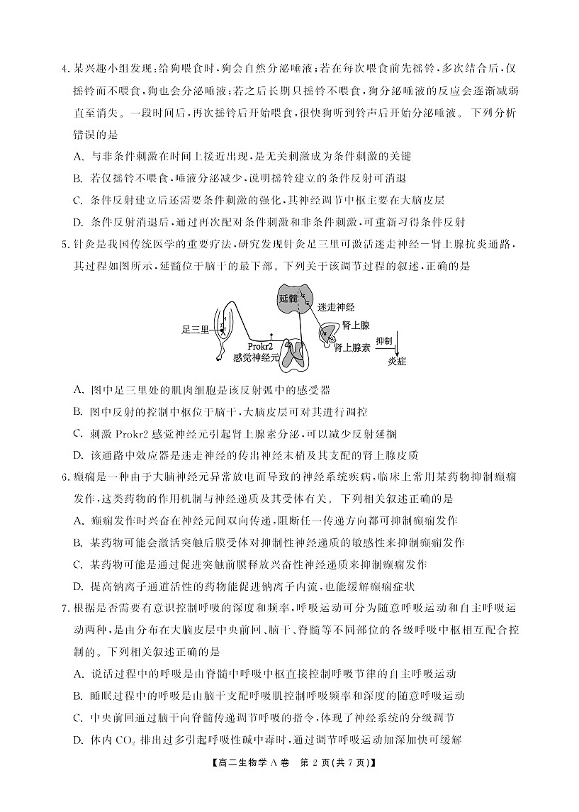 安徽省鼎尖名校大联考2025-2026学年高二上学期11月期中考试生物试卷第2页