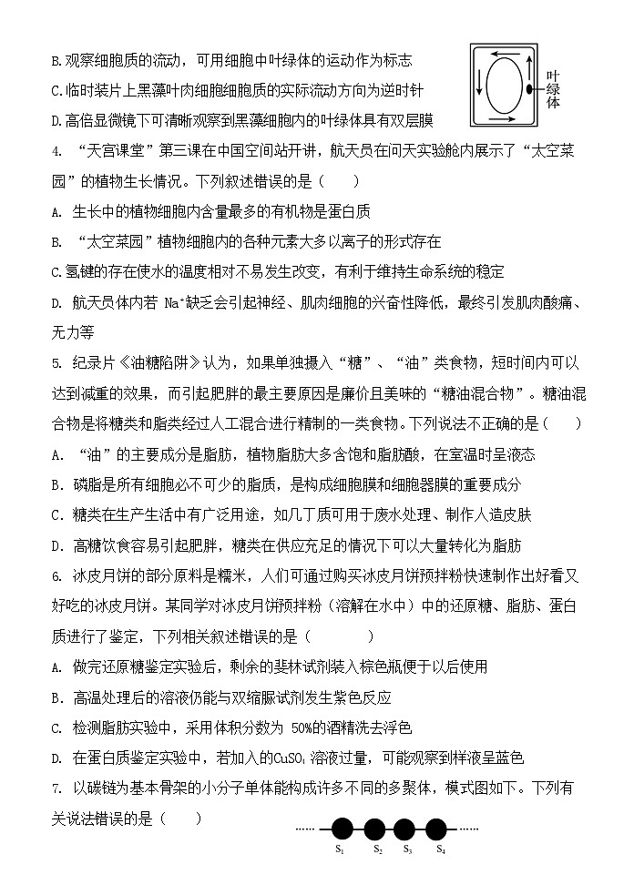 广西玉林市八校联考2025-2026学年高一上学期11月期中考试生物试卷第2页