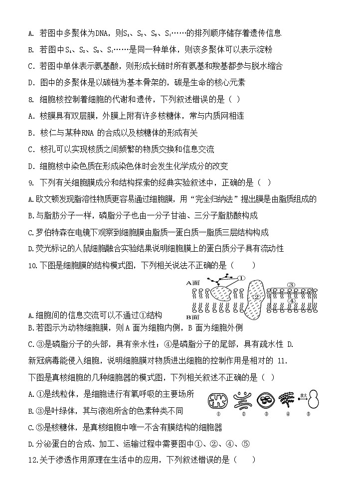 广西玉林市八校联考2025-2026学年高一上学期11月期中考试生物试卷第3页