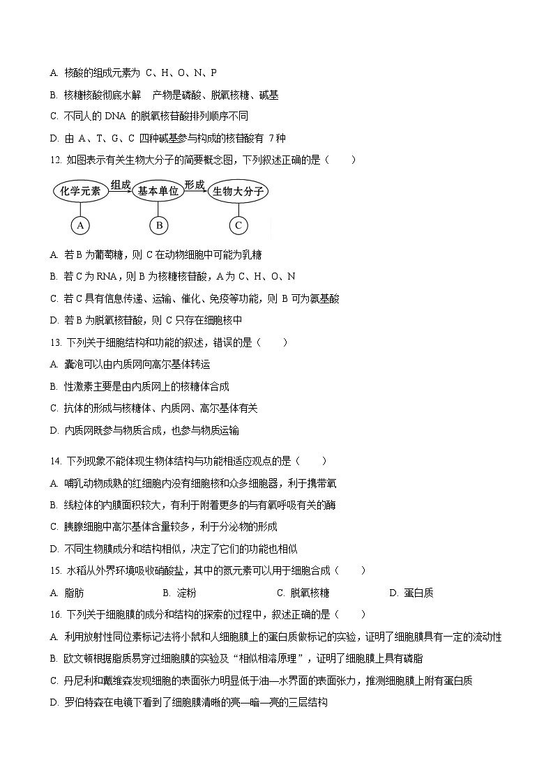 黑龙江省佳木斯市第二中学2025-2026学年高一上学期11月期中考试生物试卷第3页
