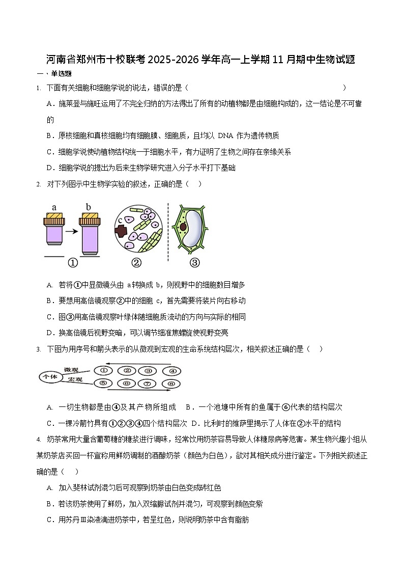 河南省郑州市十校联考2025-2026学年高一上学期11月期中考试生物试卷第1页