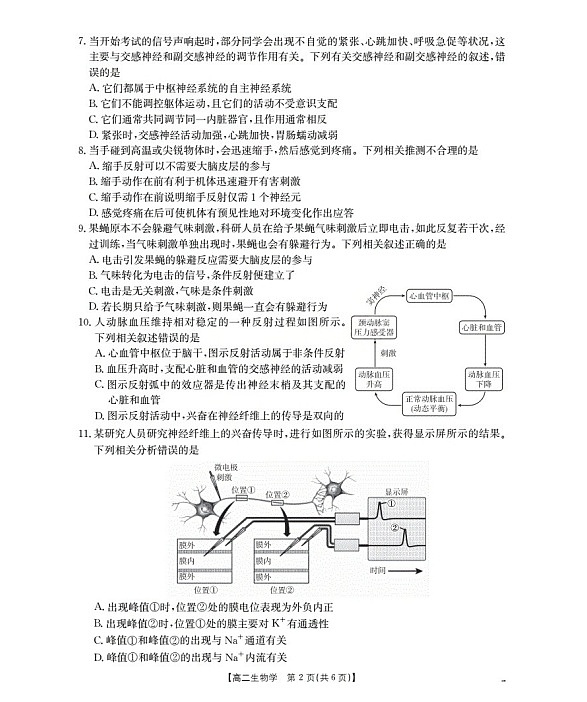 新疆2025-2026学年高二上学期11月期中考试生物试卷第2页