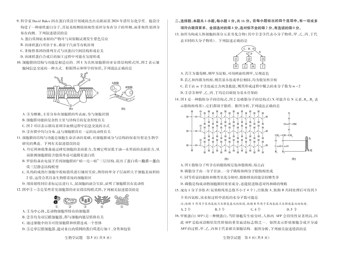 湖南湘一名校联考2025-2026学年高一上学期11月期中考试生物试卷第2页