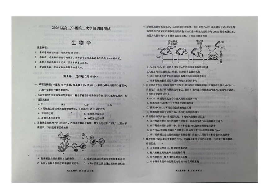 山西省大同市2025-2026学年高三上学期11月期中考试生物试卷第1页