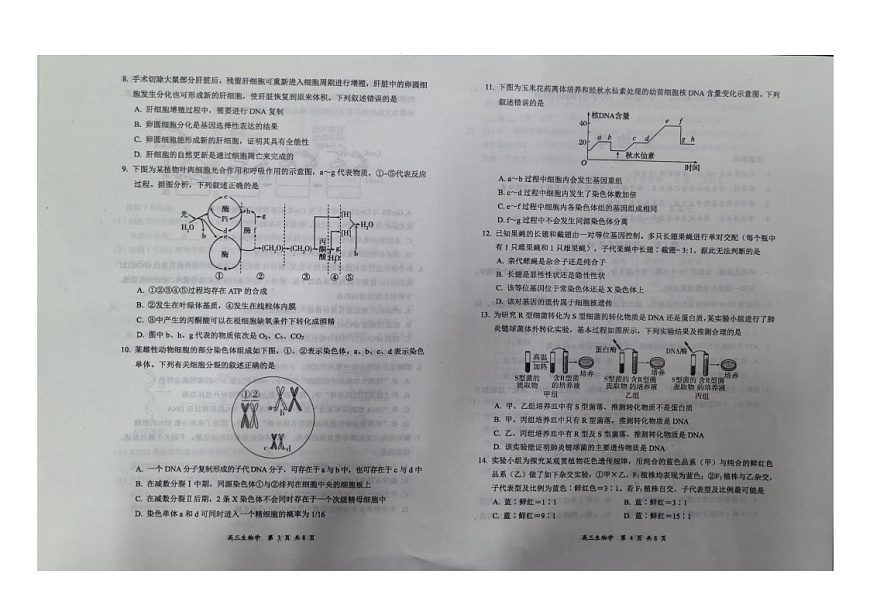 山西省大同市2025-2026学年高三上学期11月期中考试生物试卷第2页