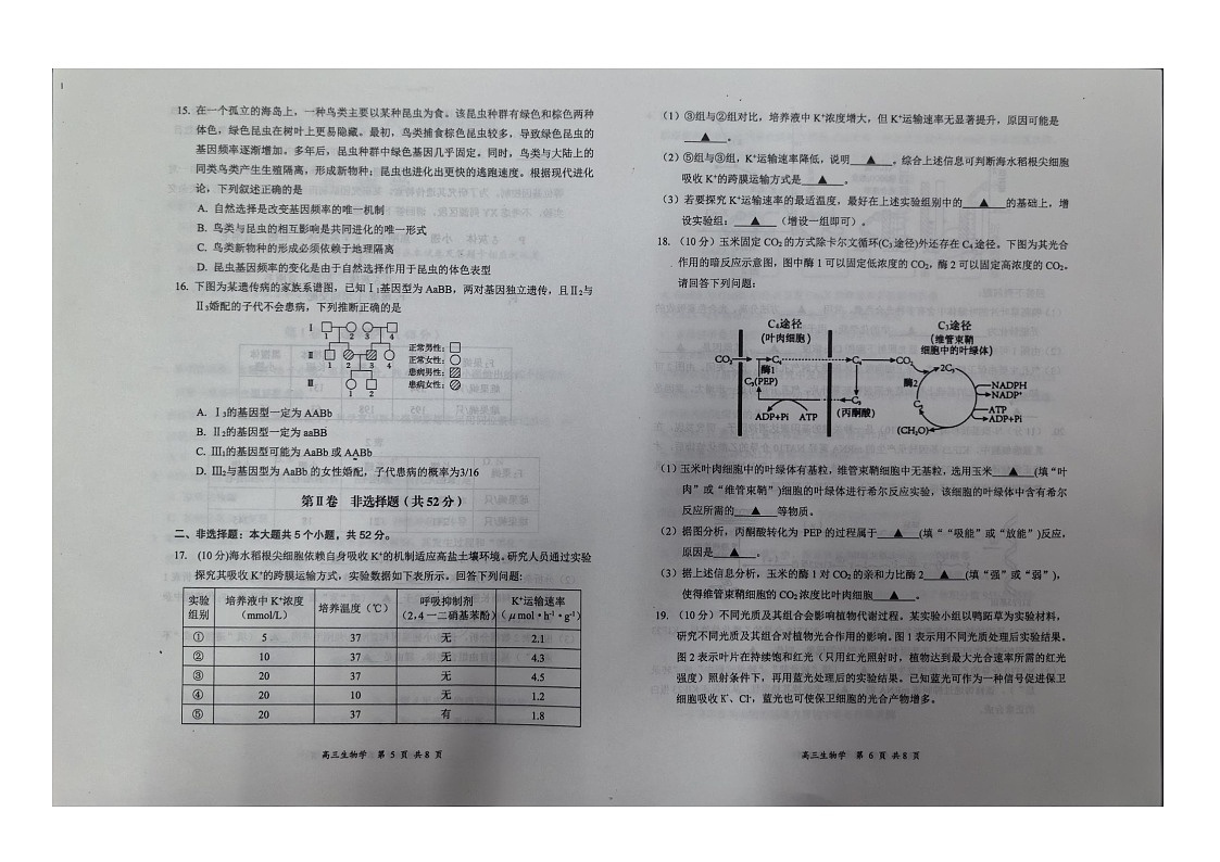 山西省大同市2025-2026学年高三上学期11月期中考试生物试卷第3页