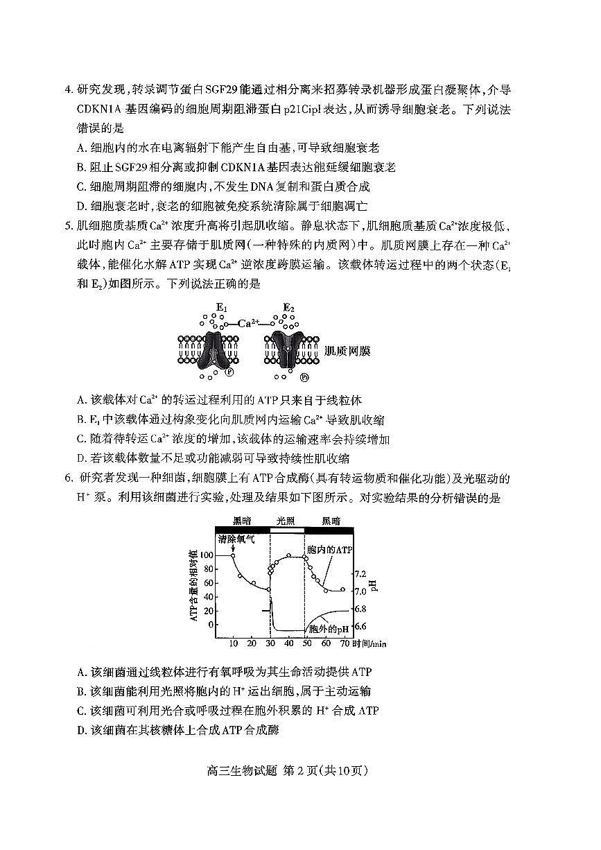 山东省泰安市2026届高三上学期期中考试生物第2页