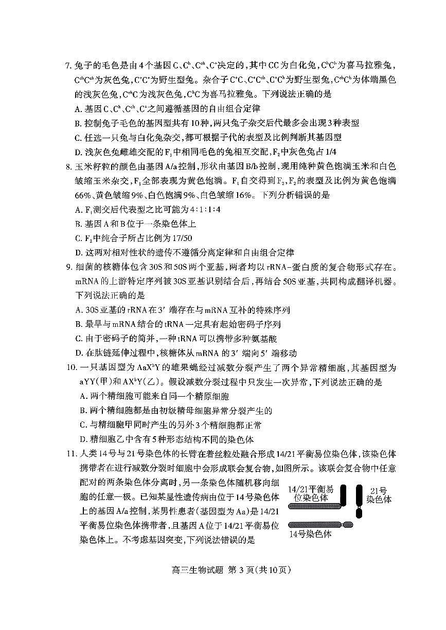 山东省泰安市2026届高三上学期期中考试生物第3页