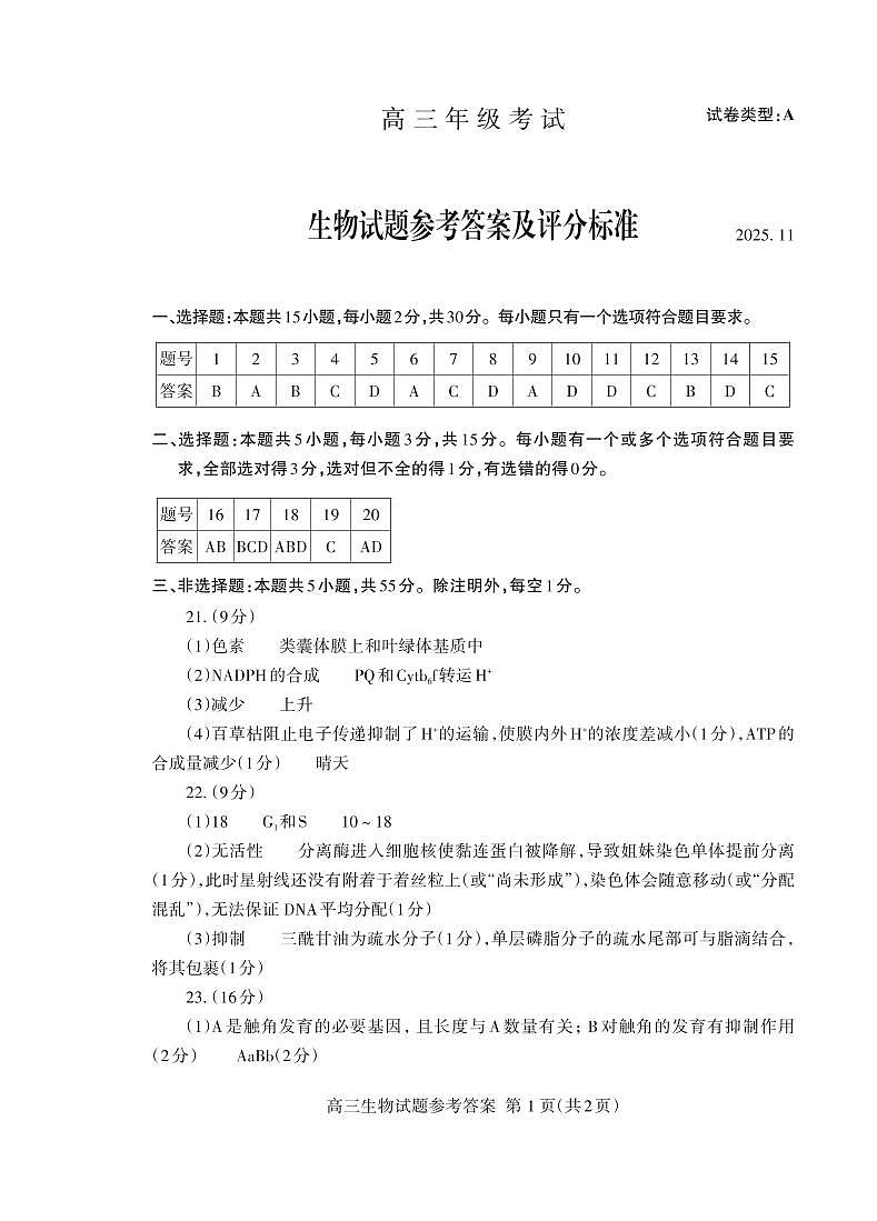 山东省泰安市2026届高三上学期期中考试生物答案第1页