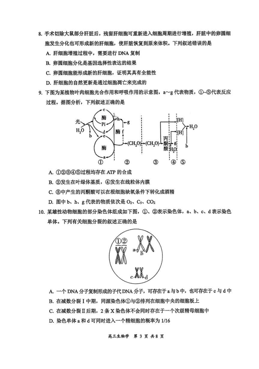 生物-山西省大同市2026高三年级上学期11月期中第二次学情调研测试试题及答案第3页