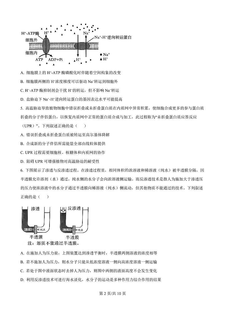 精品解析：黑龙江省哈尔滨师范大学附属中学2025-2026学年高三上学期期中考试生物试题（原卷版）第2页