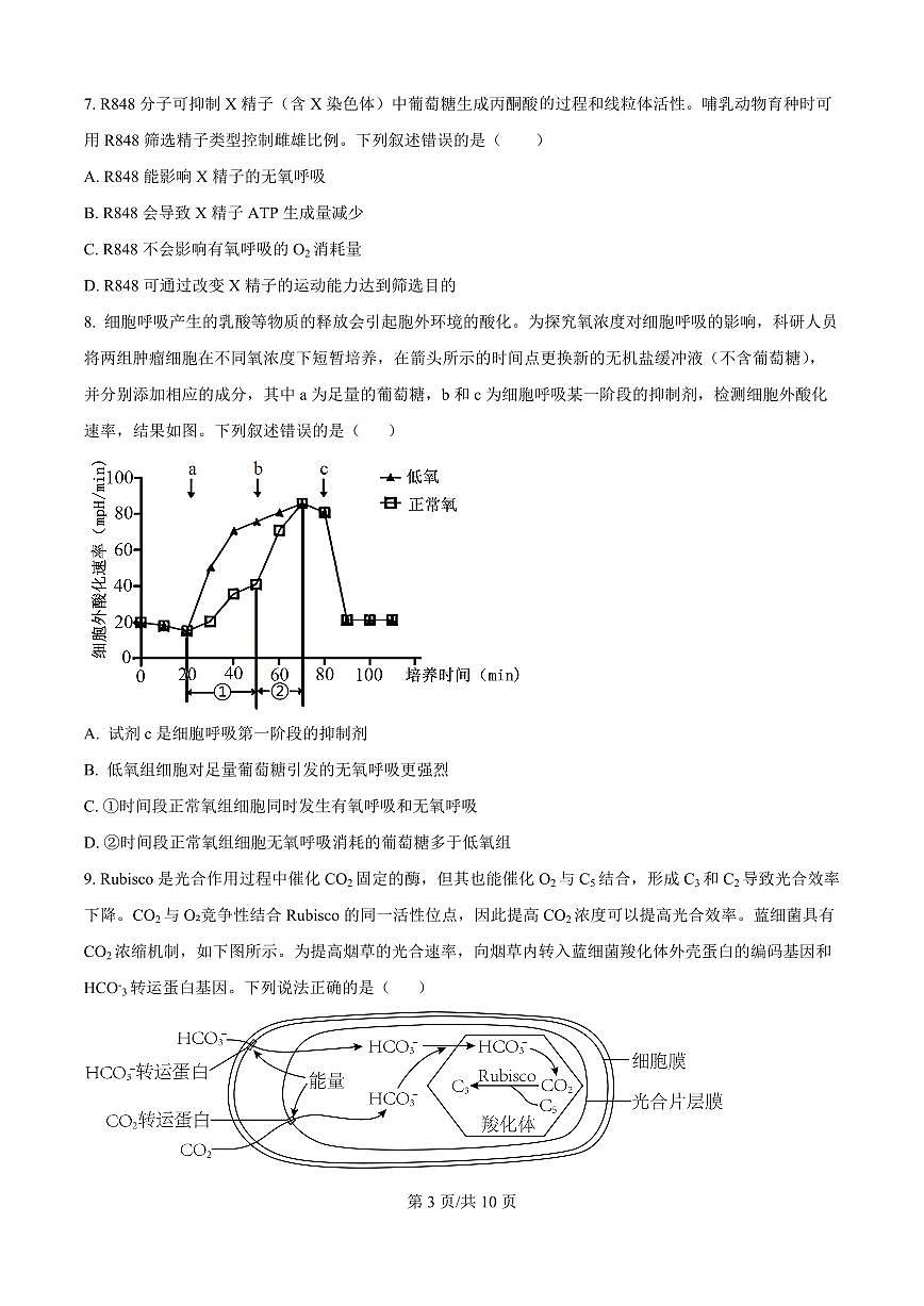 精品解析：黑龙江省哈尔滨师范大学附属中学2025-2026学年高三上学期期中考试生物试题（原卷版）第3页