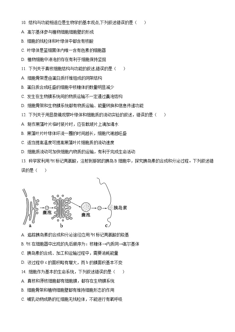 黑龙江省龙东十校联盟2025-2026学年高一上学期期中考试生物试题  Word版无答案第3页
