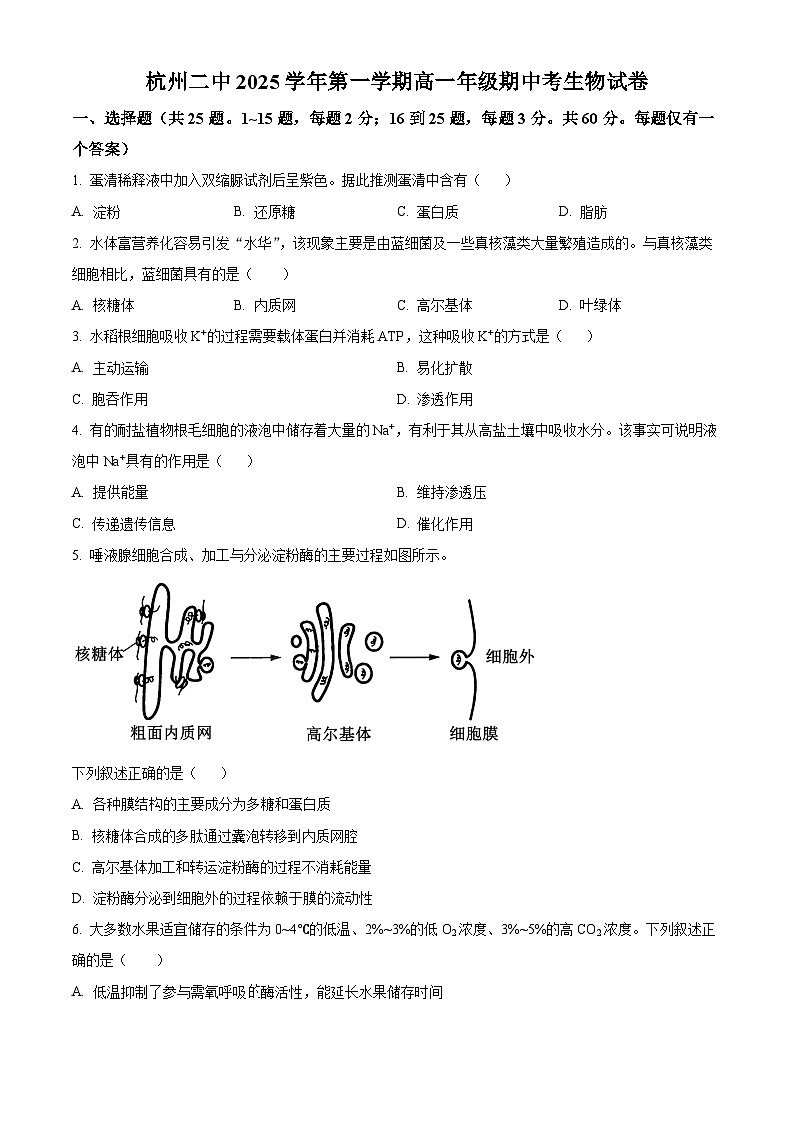 浙江省杭州市第二中学2025-2026学年高一上学期期中考试生物试卷 Word版无答案第1页