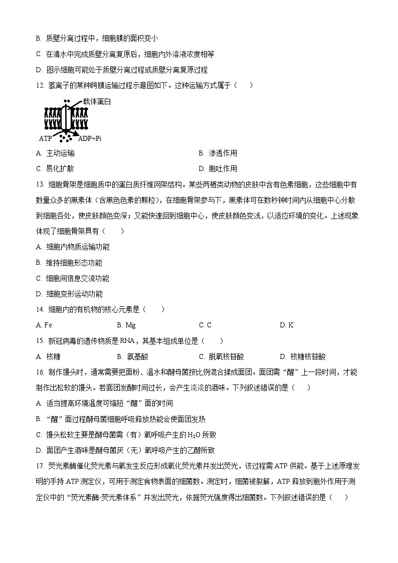 浙江省杭州市第二中学2025-2026学年高一上学期期中考试生物试卷 Word版无答案第3页