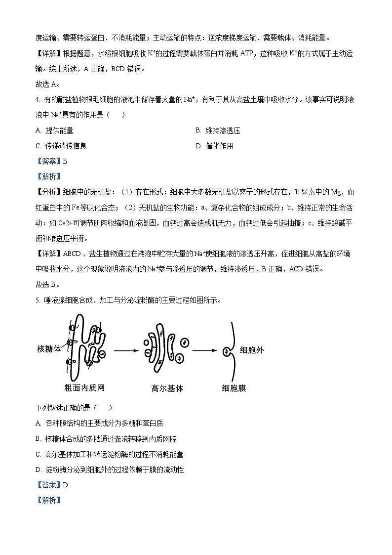 浙江省杭州市第二中学2025-2026学年高一上学期期中考试生物试卷 Word版含解析第2页