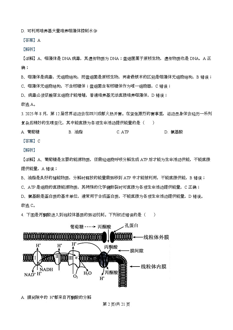 浙江省金砖高中联盟2025-2026学年高二上学期11月期中生物试题  Word版含解析第2页