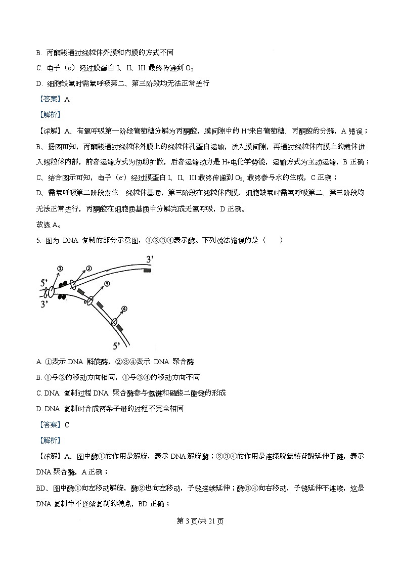 浙江省金砖高中联盟2025-2026学年高二上学期11月期中生物试题  Word版含解析第3页