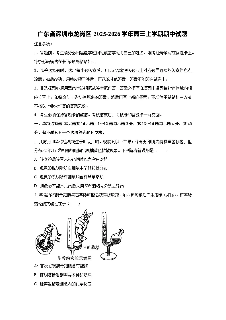 广东省深圳市龙岗区2025-2026学年高三上学期期中生物试题（学生版）第1页