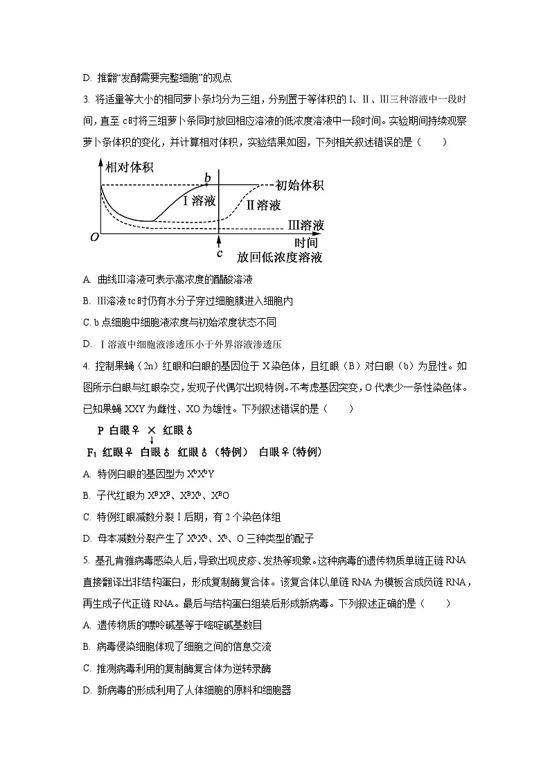 广东省深圳市龙岗区2025-2026学年高三上学期期中生物试题（学生版）第2页