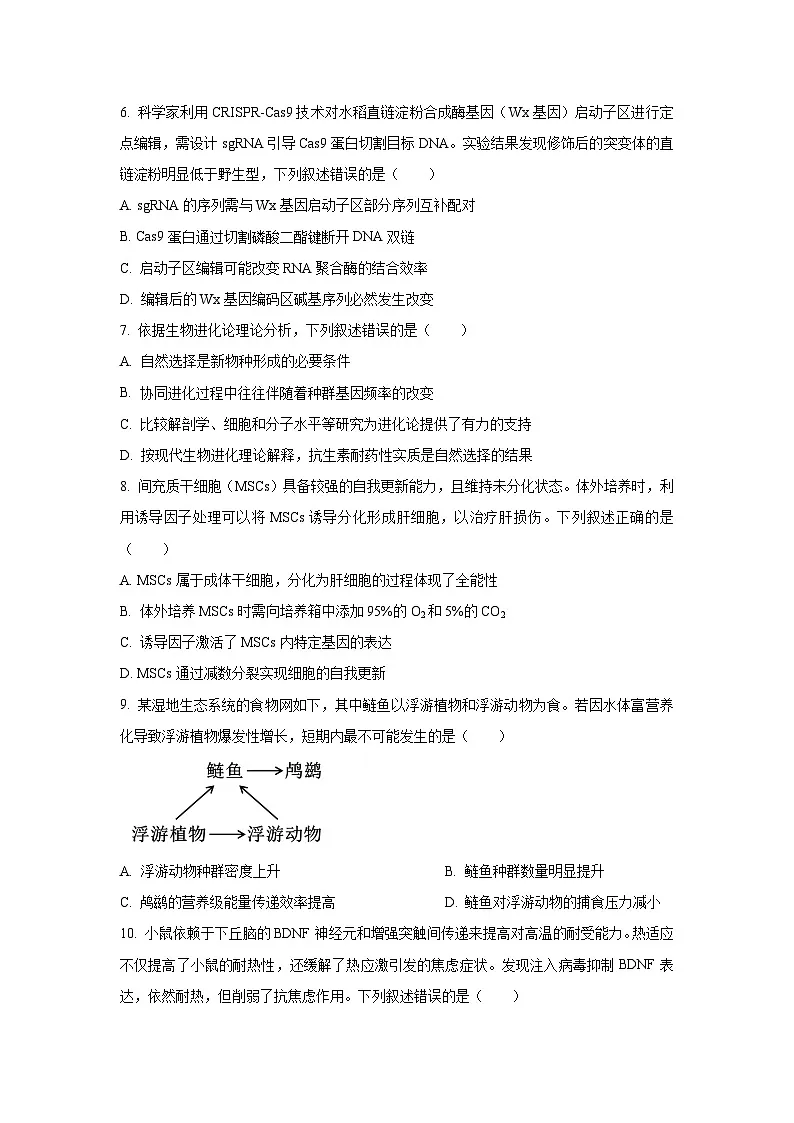 广东省深圳市龙岗区2025-2026学年高三上学期期中生物试题（学生版）第3页