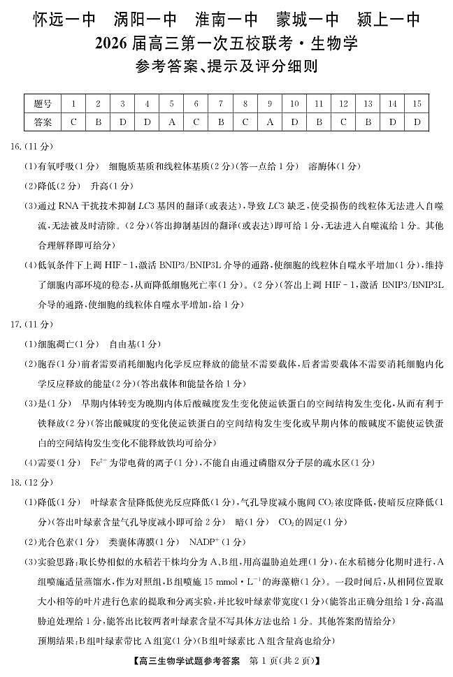 25年11月五校联盟-生物答案第1页