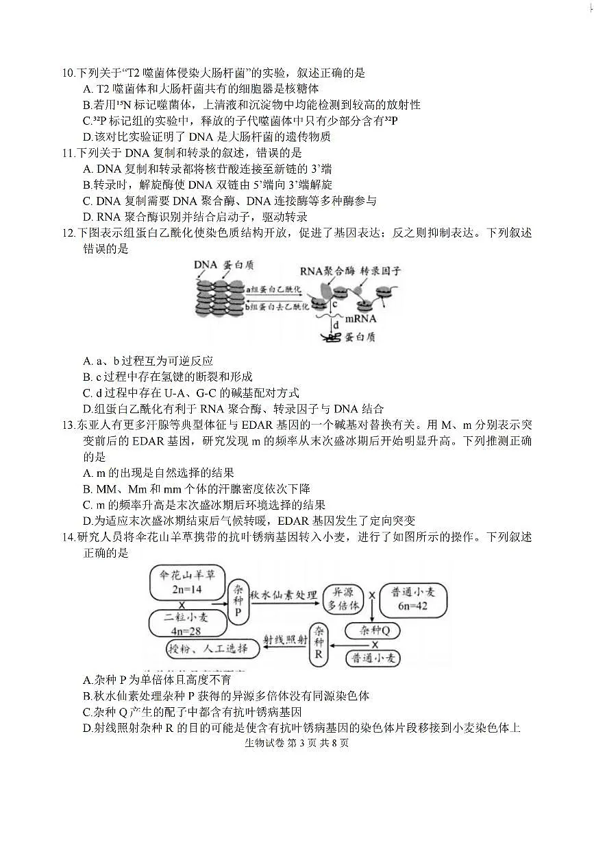 江苏省扬州市2025-2026学年高三上学期11月期中考试生物试题（含答案）第3页