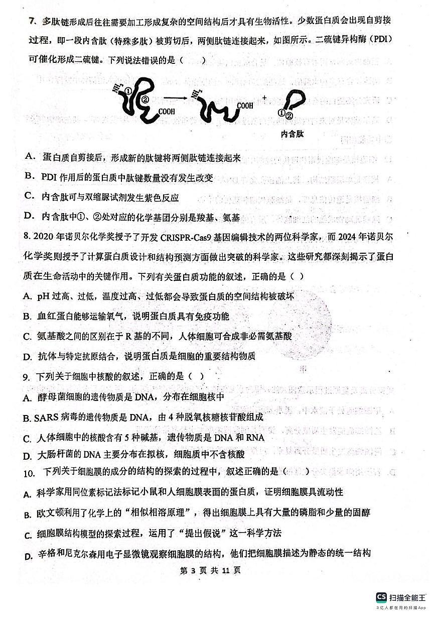 山东省滨州市惠民县2025-2026学年高一上学期期中考试生物试题第3页