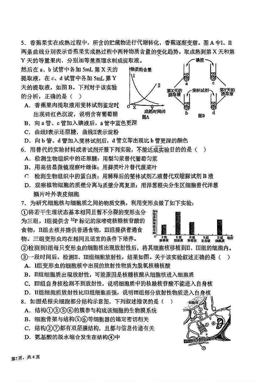 山东省青岛二中2025-2026学年高一上学期期中生物试卷第2页