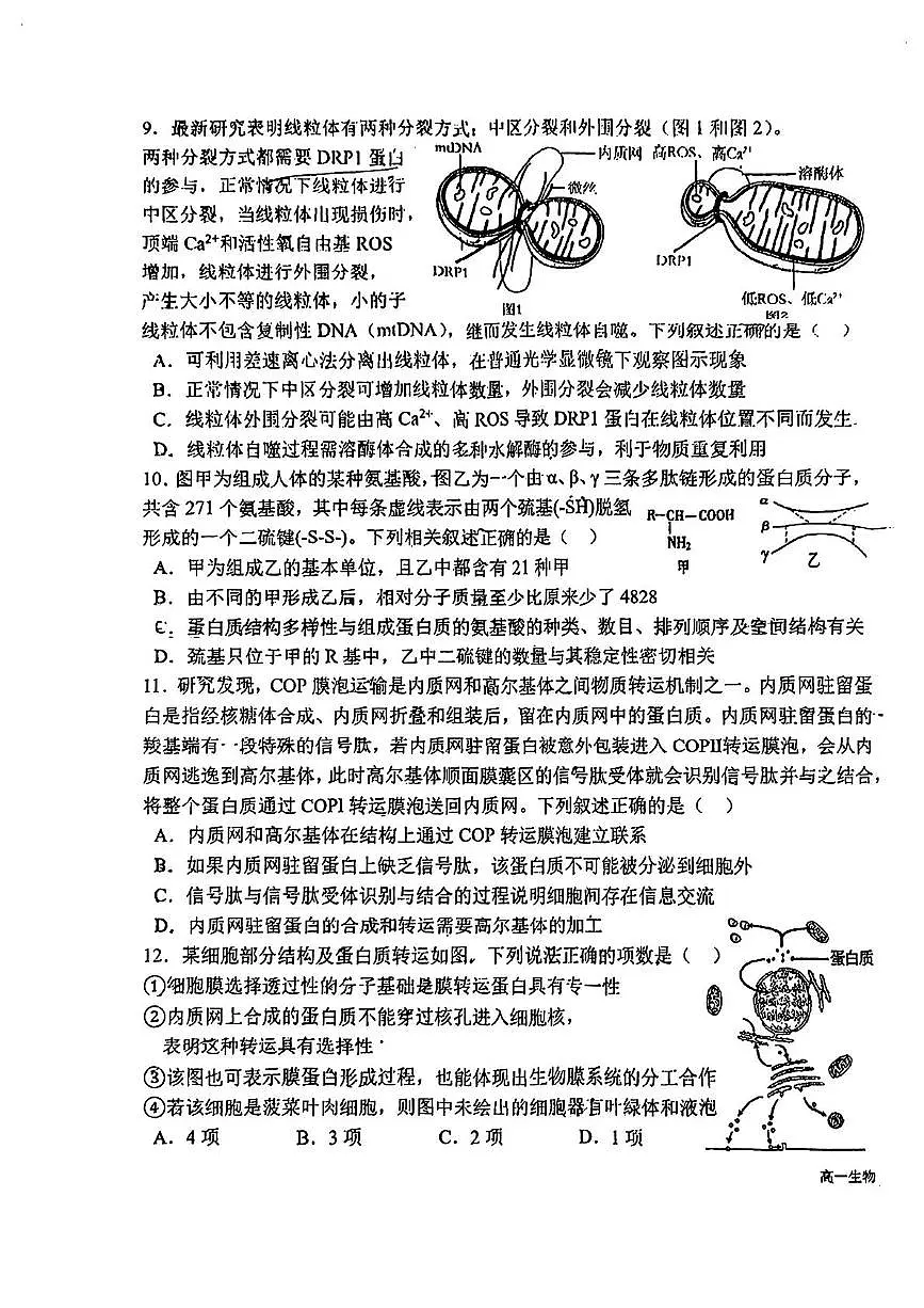 山东省青岛二中2025-2026学年高一上学期期中生物试卷第3页