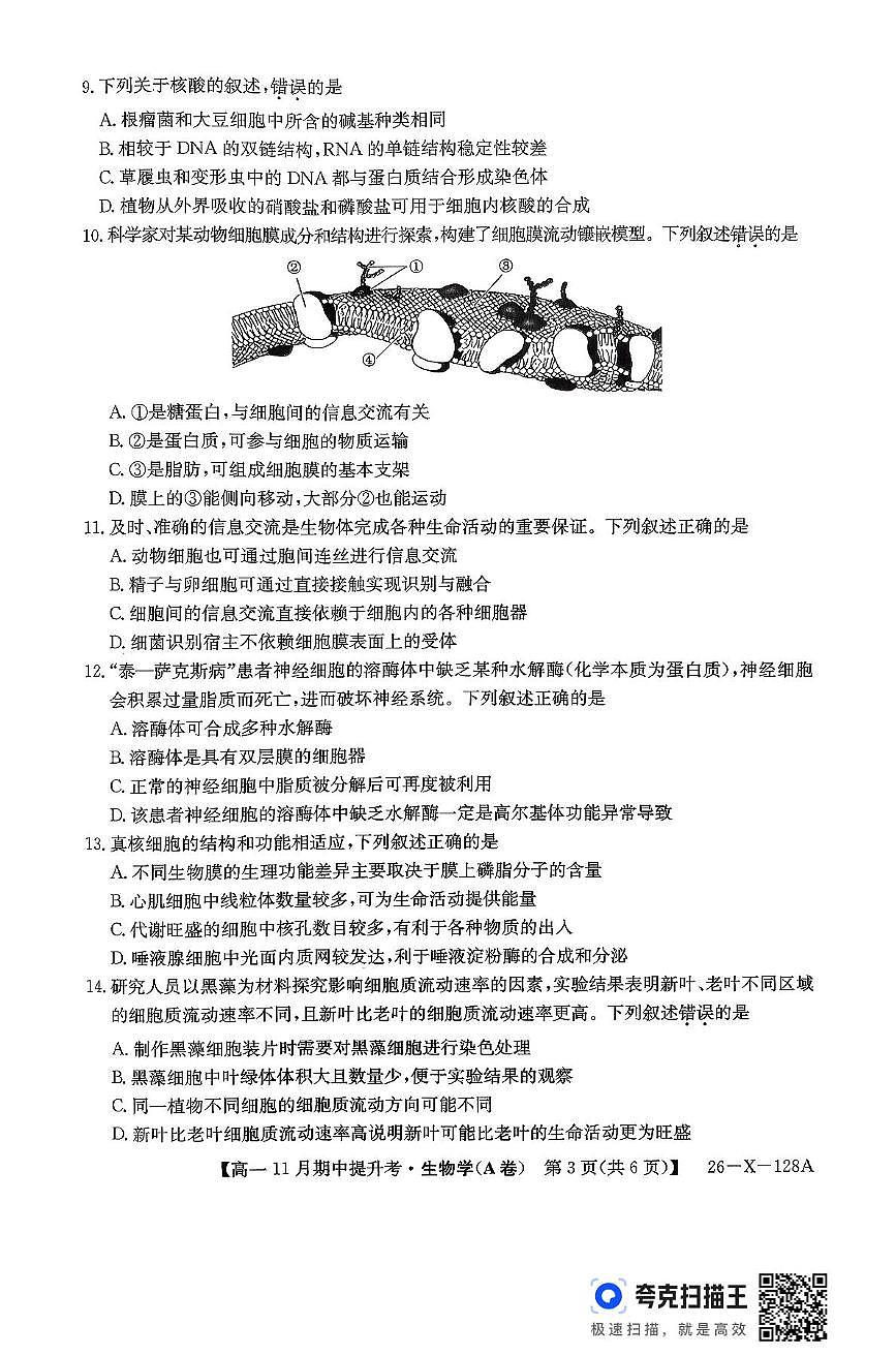 山西省部分学校2025-2026学年高一上学期11月期中生物试题第3页