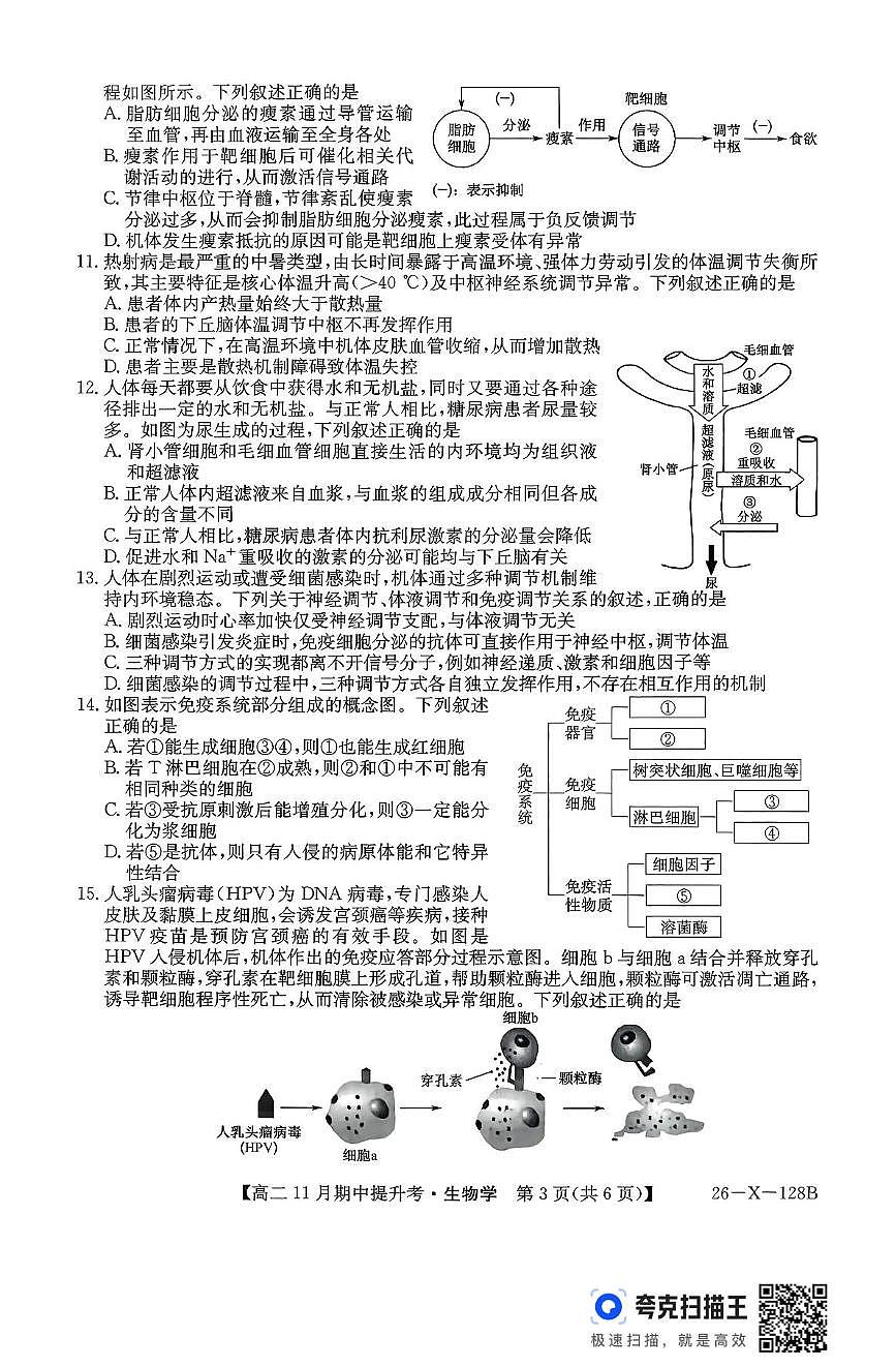 山西省部分学校2025-2026学年高二上学期11月期中生物试题第3页