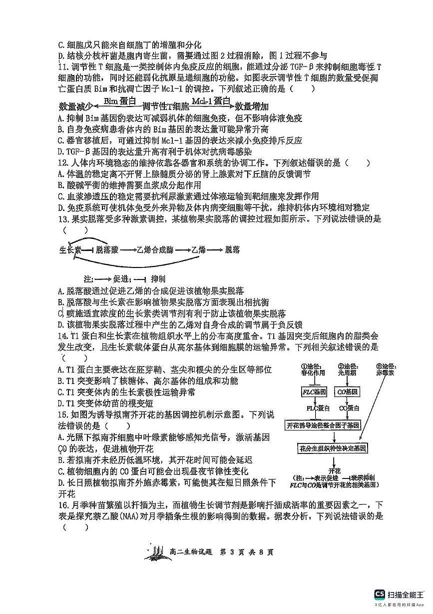 山西省太原市山大附中等校2025-2026学年高二上学期11月期中生物试题第3页