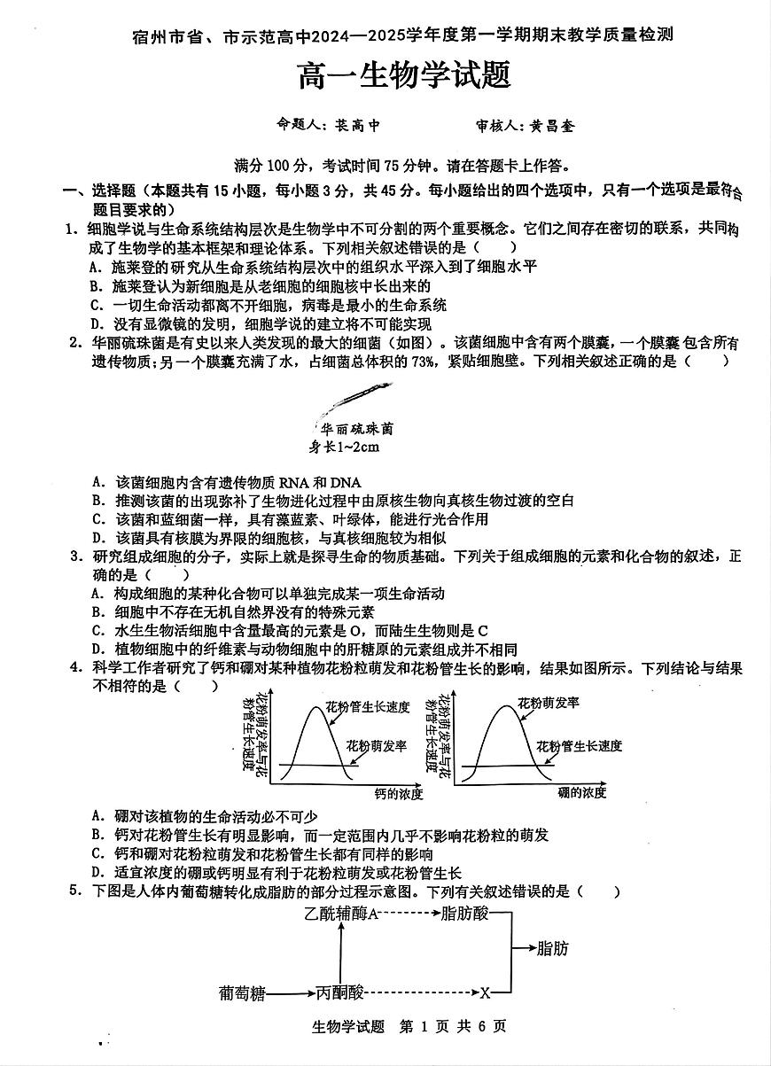 安徽省宿州市2024-2025学年高一上学期1月期末考试生物试题第1页