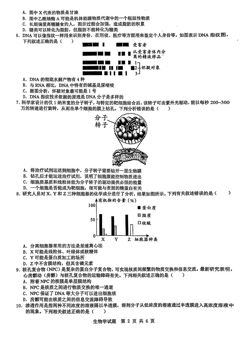 安徽省宿州市2024-2025学年高一上学期1月期末考试生物试题第2页