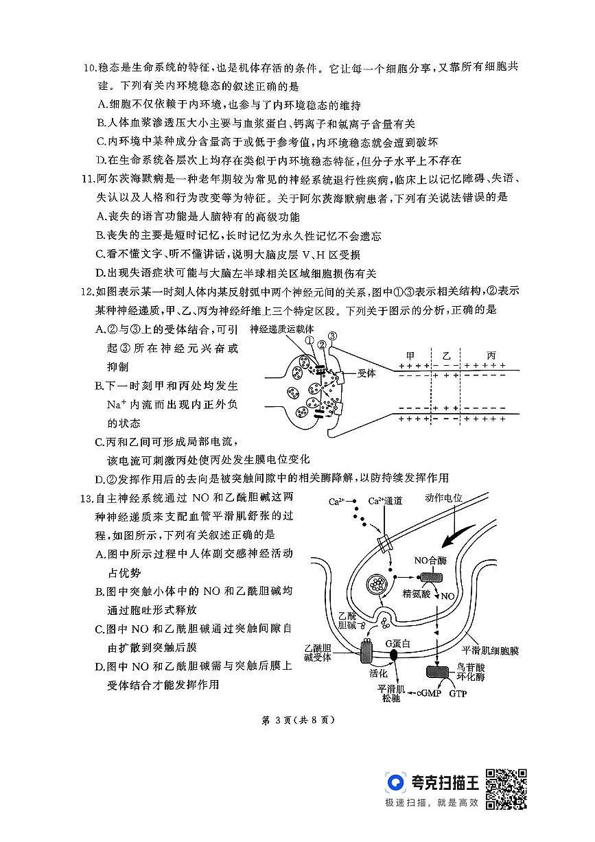 2026届河北地区2025-2026学年高三上学期11月期中考试生物试题（含答案）第3页
