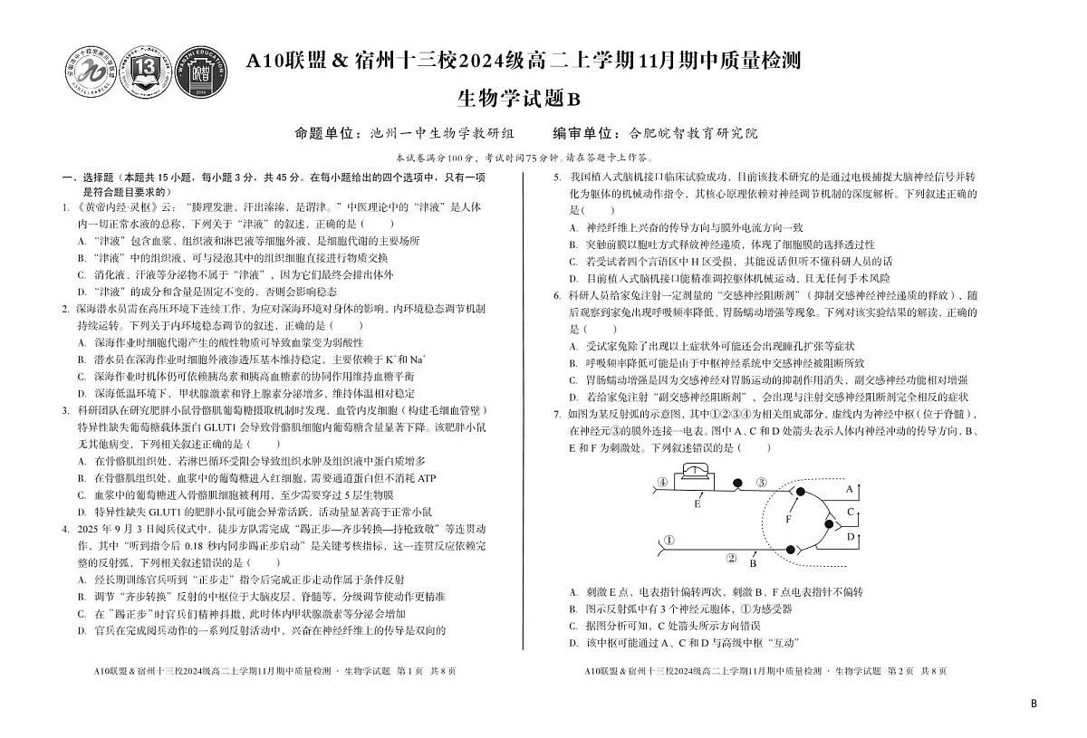 【生物】（B卷）A10联盟＆宿州十三校2024级高二上学期11月期中质量检测生物学b第1页