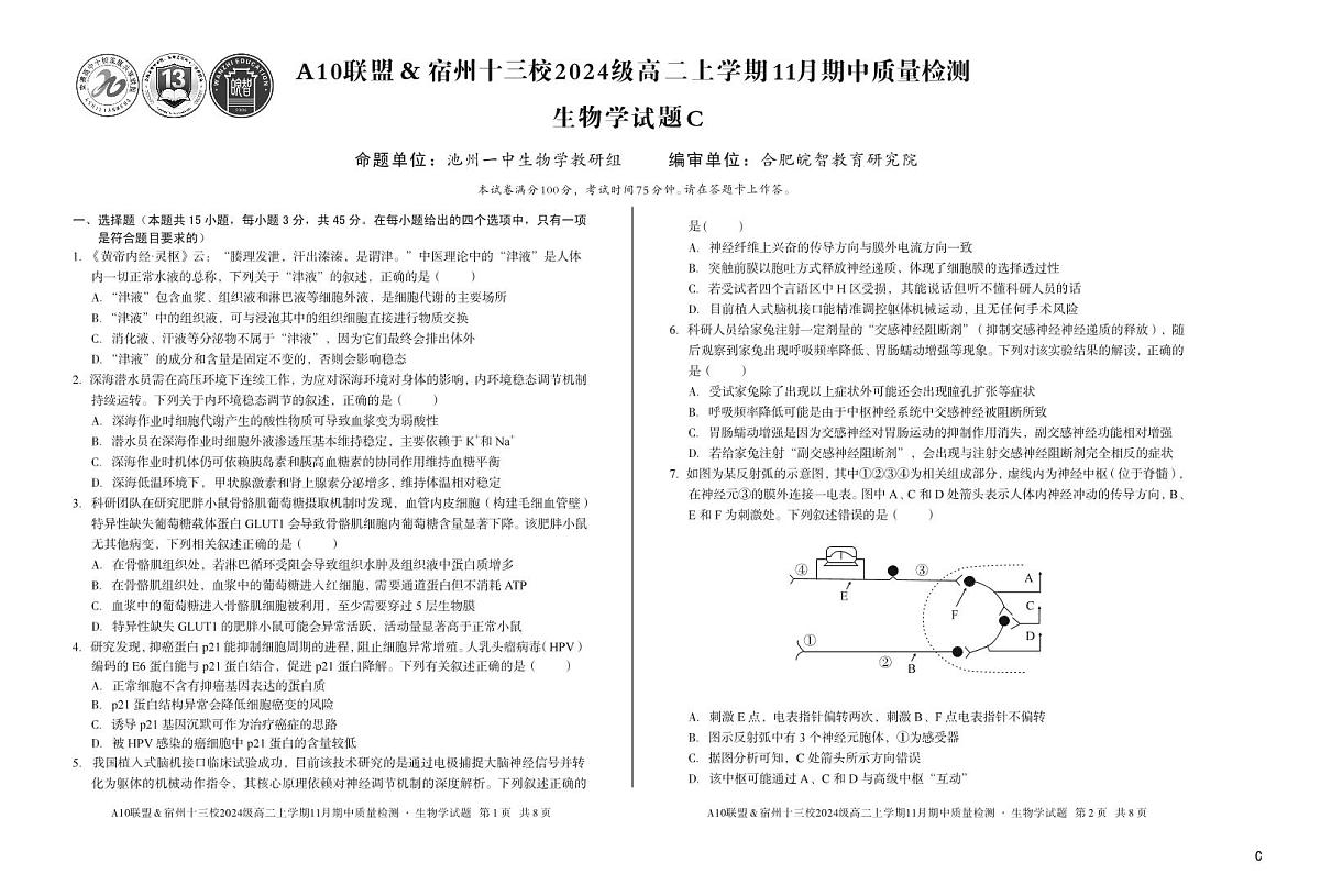 【生物】（C卷）A10联盟＆宿州十三校2024级高二上学期11月期中质量检测生物学c第1页