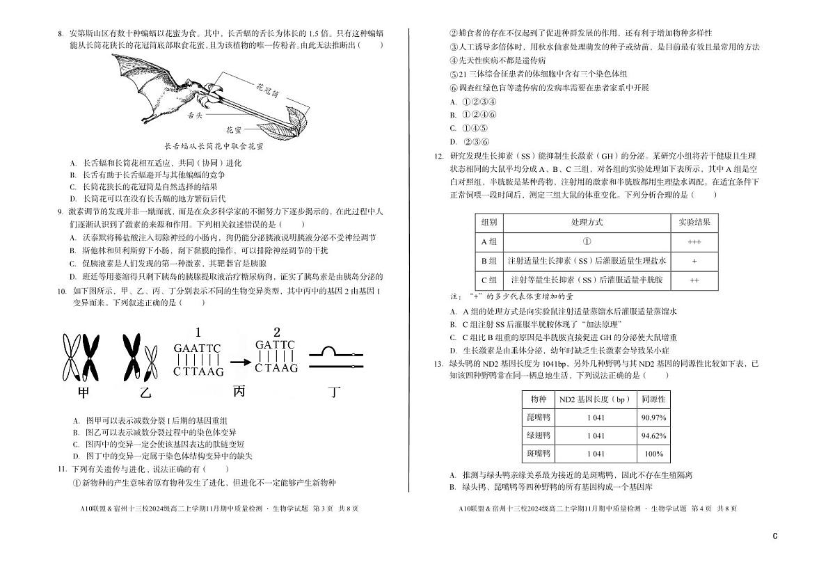 【生物】（C卷）A10联盟＆宿州十三校2024级高二上学期11月期中质量检测生物学c第2页