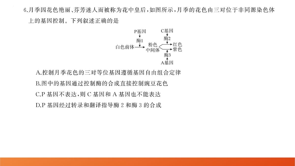生物第7页