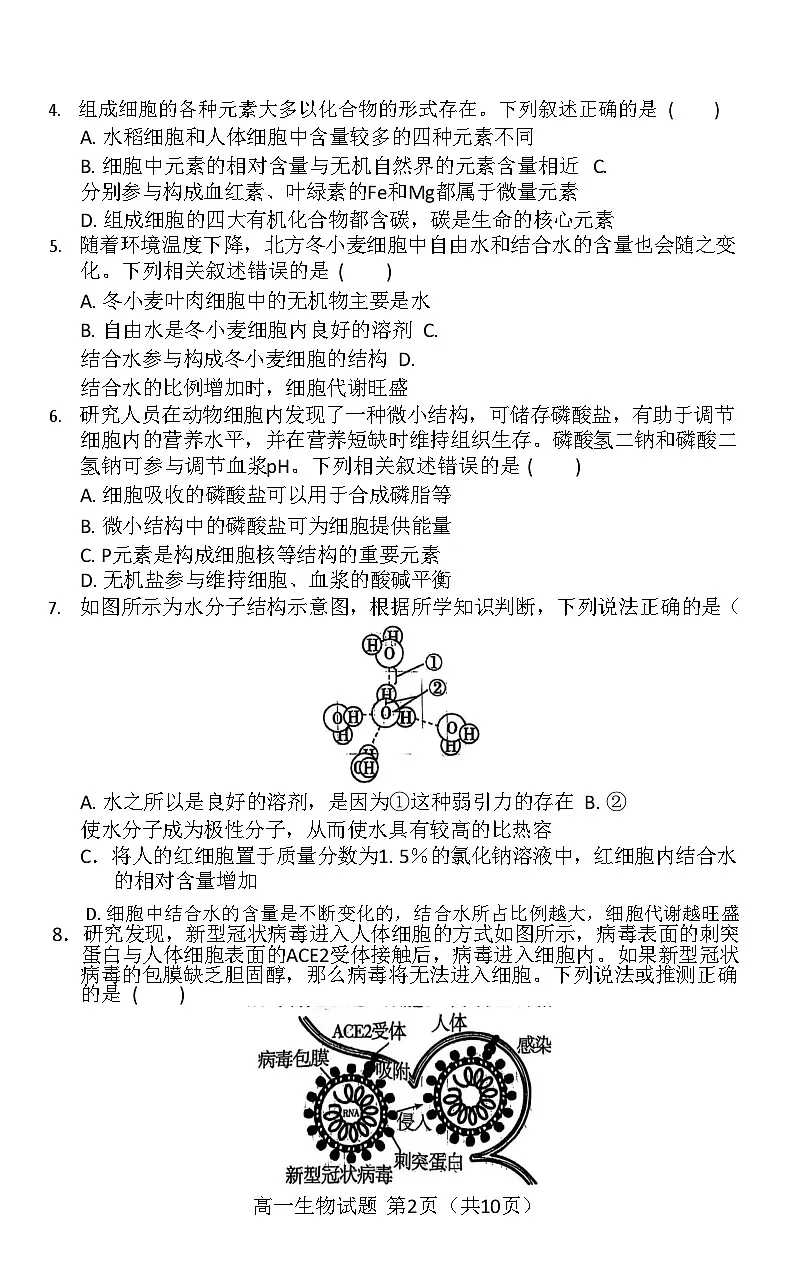 河南省南阳市方城县第一高级中学2025-2026学年高一上学期11月期中考试生物试卷第2页