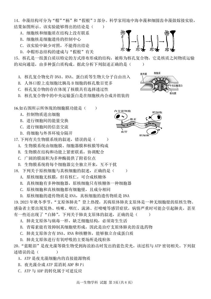 浙江省五湖联盟2025-2026学年高一上学期11月期中考试生物试卷第3页