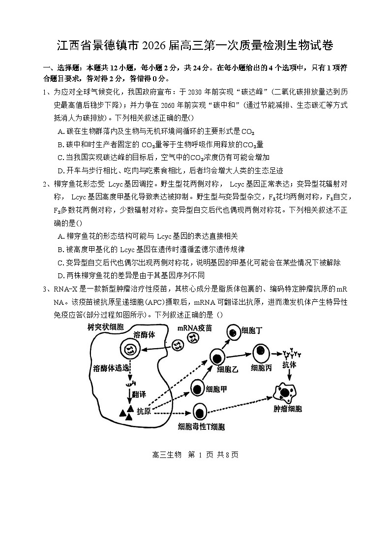 江西省景德镇市2025-2026学年高三上学期11月考试生物试卷第1页