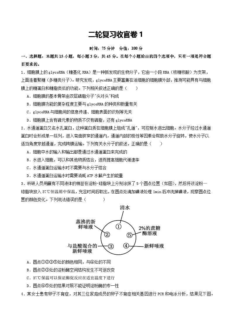 二轮复习收官卷1（15+5）（原卷版）（全国通用）第1页