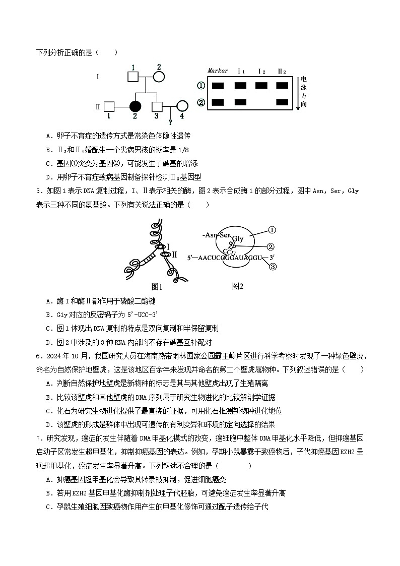 二轮复习收官卷1（15+5）（原卷版）（全国通用）第2页