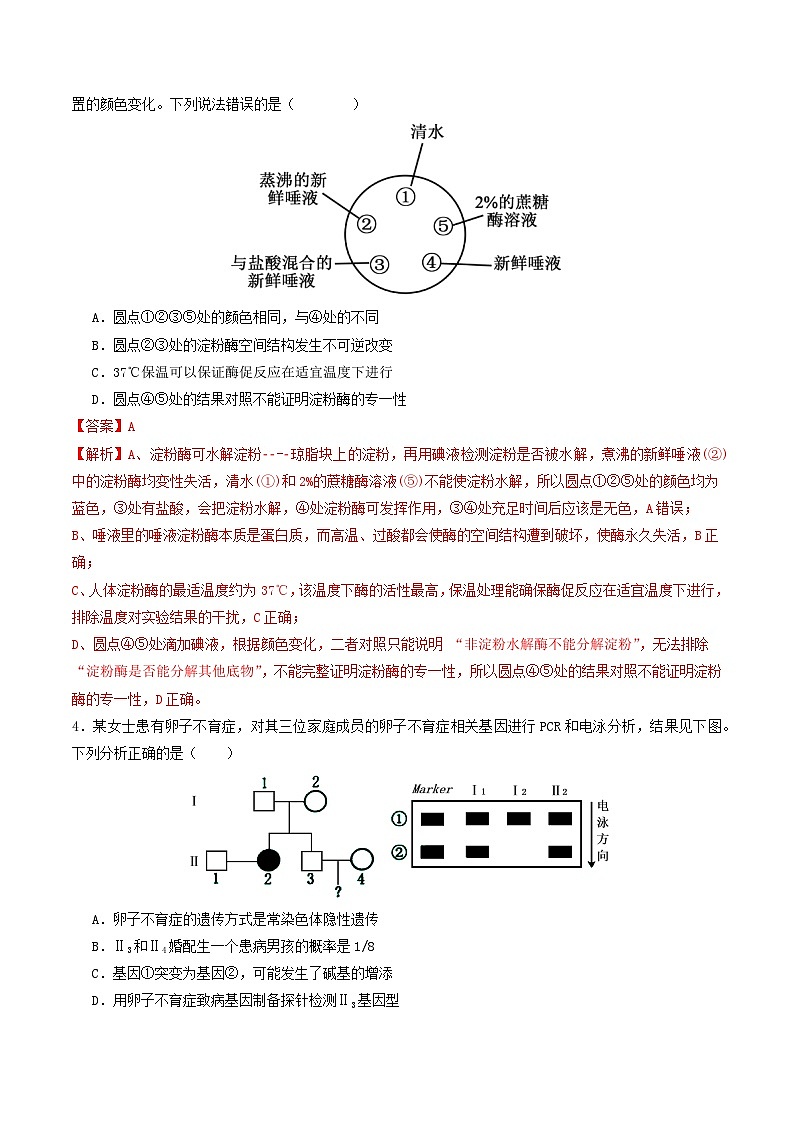 二轮复习收官卷1（15+5）（解析版）（全国通用）第2页