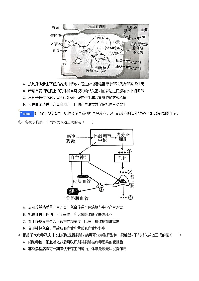 专题13 稳态与调节（原卷版）第3页